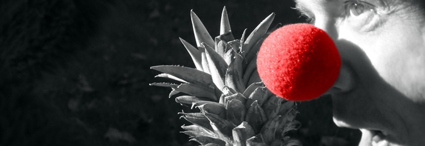 header.png